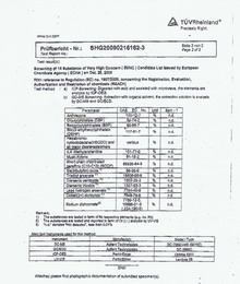 REACH Test Report